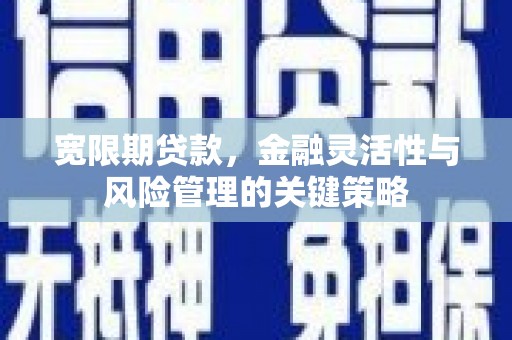 贵定宽限期贷款，金融灵活性与风险管理的关键策略