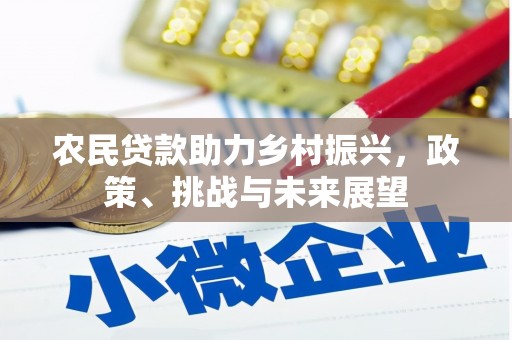 蓬溪农民贷款助力乡村振兴，政策、挑战与未来展望