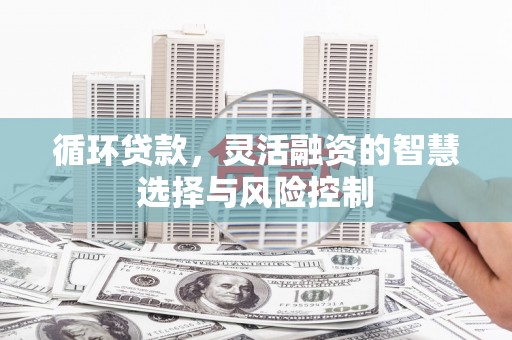 镇远循环贷款，灵活融资的智慧选择与风险控制