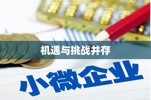 称多机遇与挑战并存