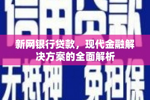 保亭新网银行贷款，现代金融解决方案的全面解析