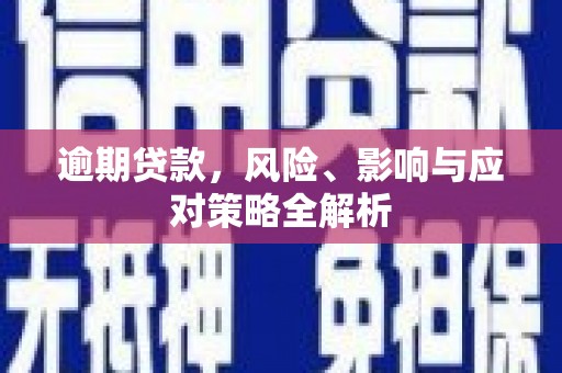 罗源逾期贷款，风险、影响与应对策略全解析