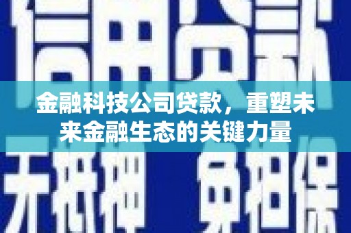 广水金融科技公司贷款，重塑未来金融生态的关键力量