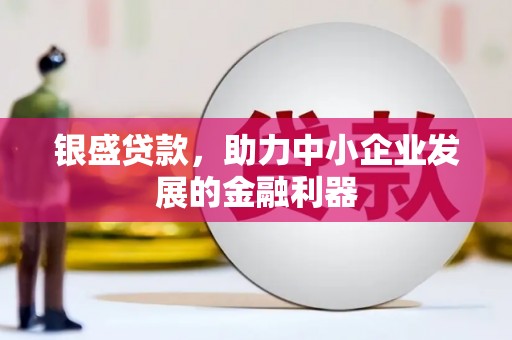 竹崎银盛贷款，助力中小企业发展的金融利器