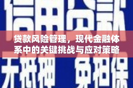 罗源贷款风险管理，现代金融体系中的关键挑战与应对策略