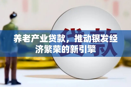 舒城养老产业贷款，推动银发经济繁荣的新引擎