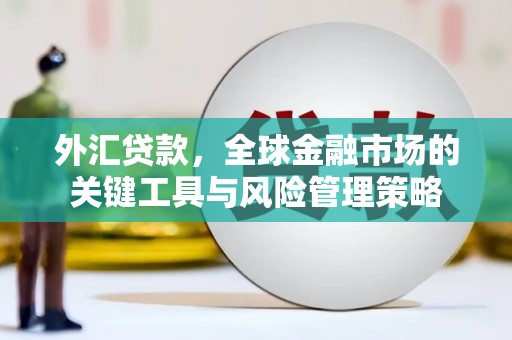 五股外汇贷款，全球金融市场的关键工具与风险管理策略