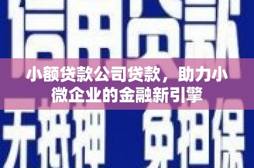 青阳小额贷款公司贷款，助力小微企业的金融新引擎