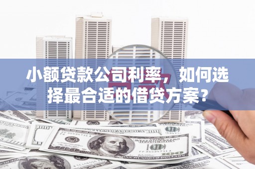 坪山新区小额贷款公司利率，如何选择最合适的借贷方案？