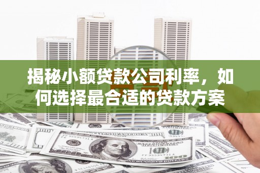 水城揭秘小额贷款公司利率，如何选择最合适的贷款方案