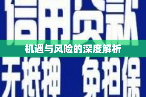 汉源机遇与风险的深度解析