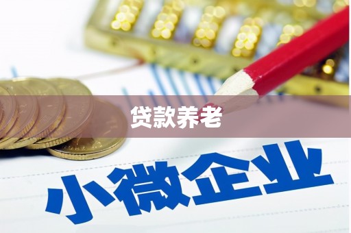 薛城贷款养老