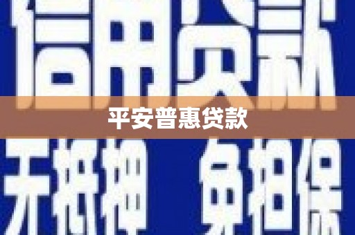 马龙平安普惠贷款