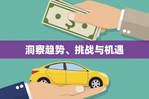 冕宁洞察趋势、挑战与机遇