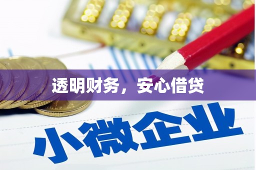 攸县透明财务，安心借贷