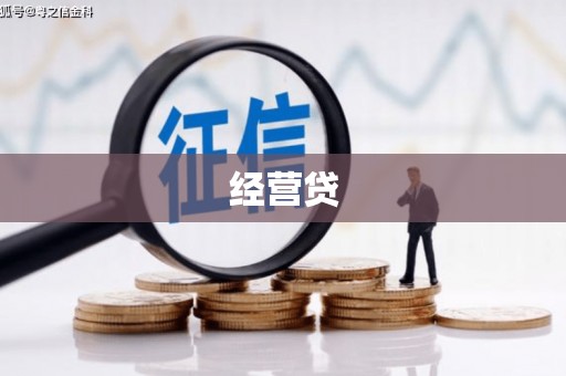 莒南经营贷