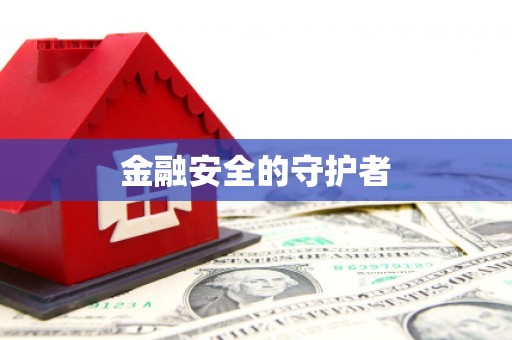 新泰金融安全的守护者