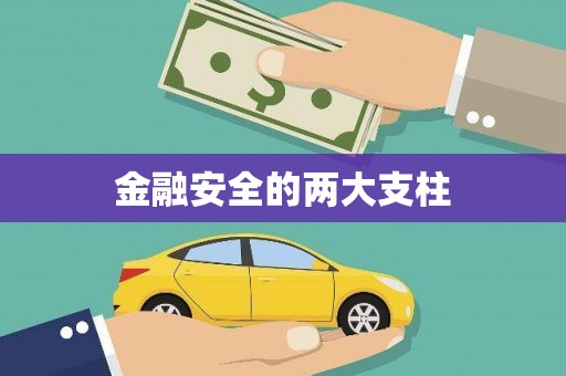 惠东金融安全的两大支柱