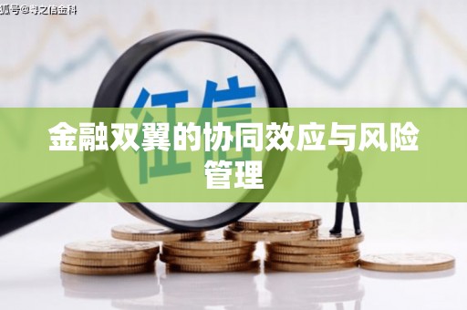 涵江金融双翼的协同效应与风险管理