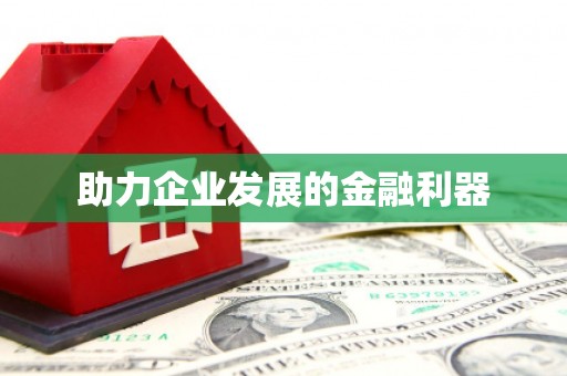 新洲助力企业发展的金融利器