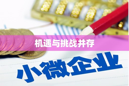 桐城机遇与挑战并存